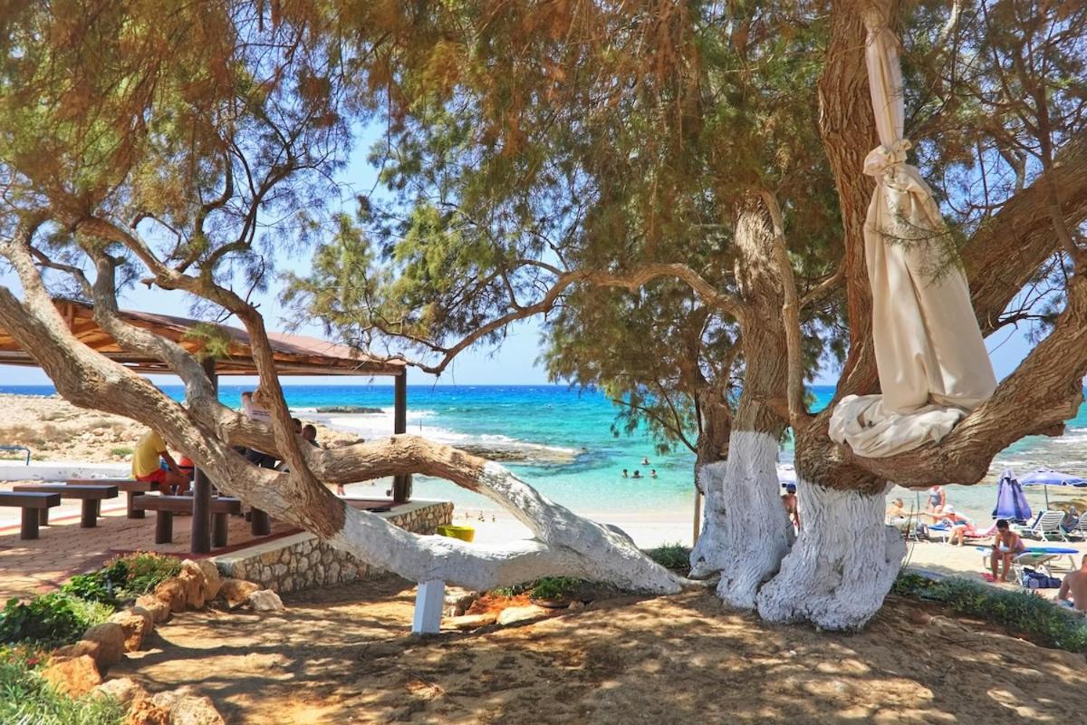 Beachfront Luxury Villa Idania Aya Napa Dış mekan fotoğraf
